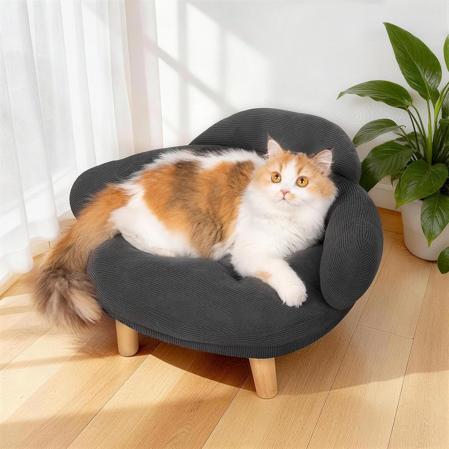 Sofa Bed Furniture Style Velvet Pet Couch
