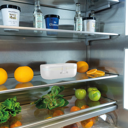 Self-Heating Lunch Box