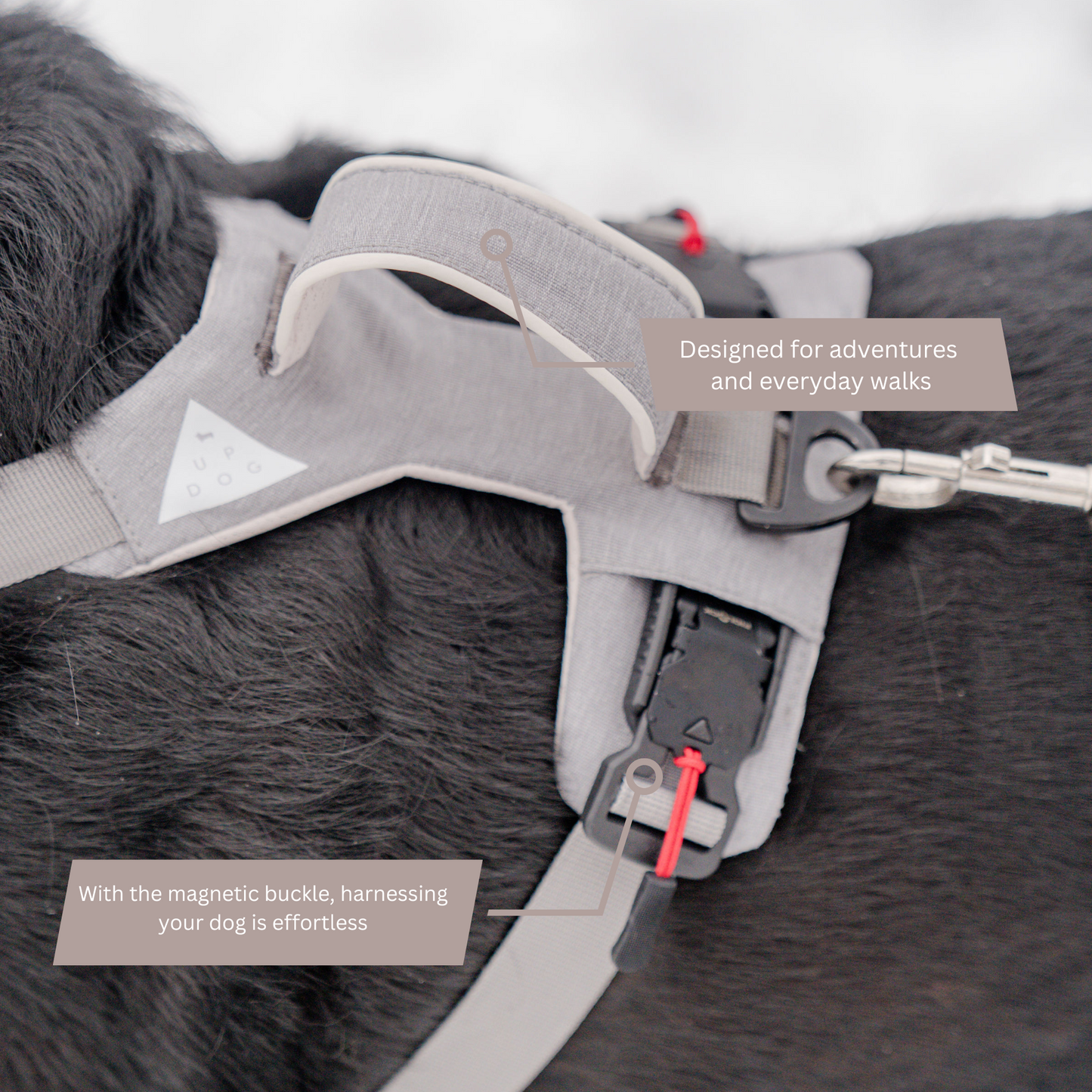Magnetic Dog Harness with Handle