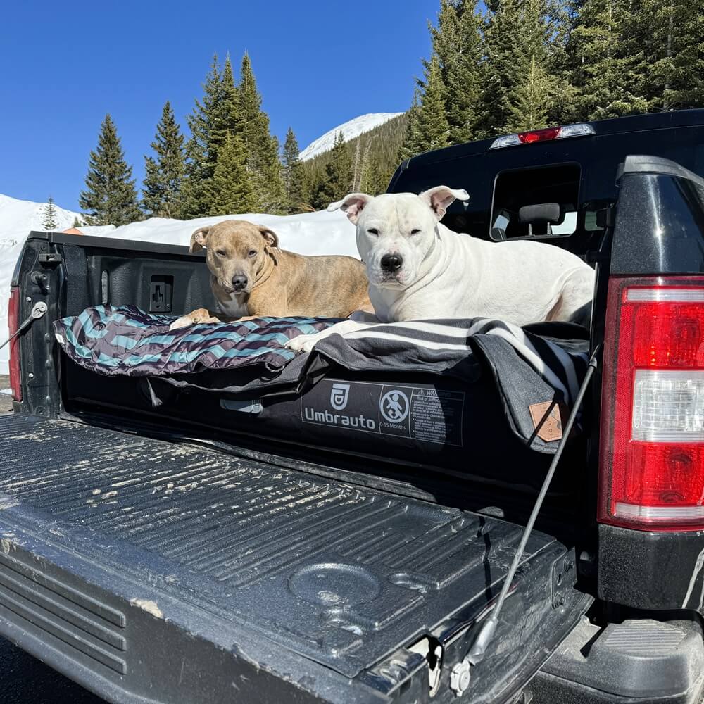 Umbrauto Built-in Pump Truck Bed Air Mattress