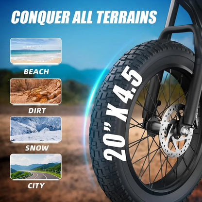 E-Bike Boys Fat Tire Electric Bike