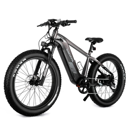 eBike Boys 52V 750W Adult eBike