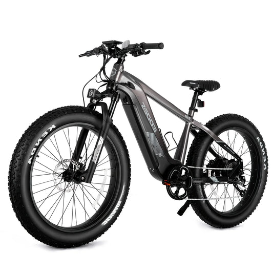 eBike Boys 52V 750W Adult eBike