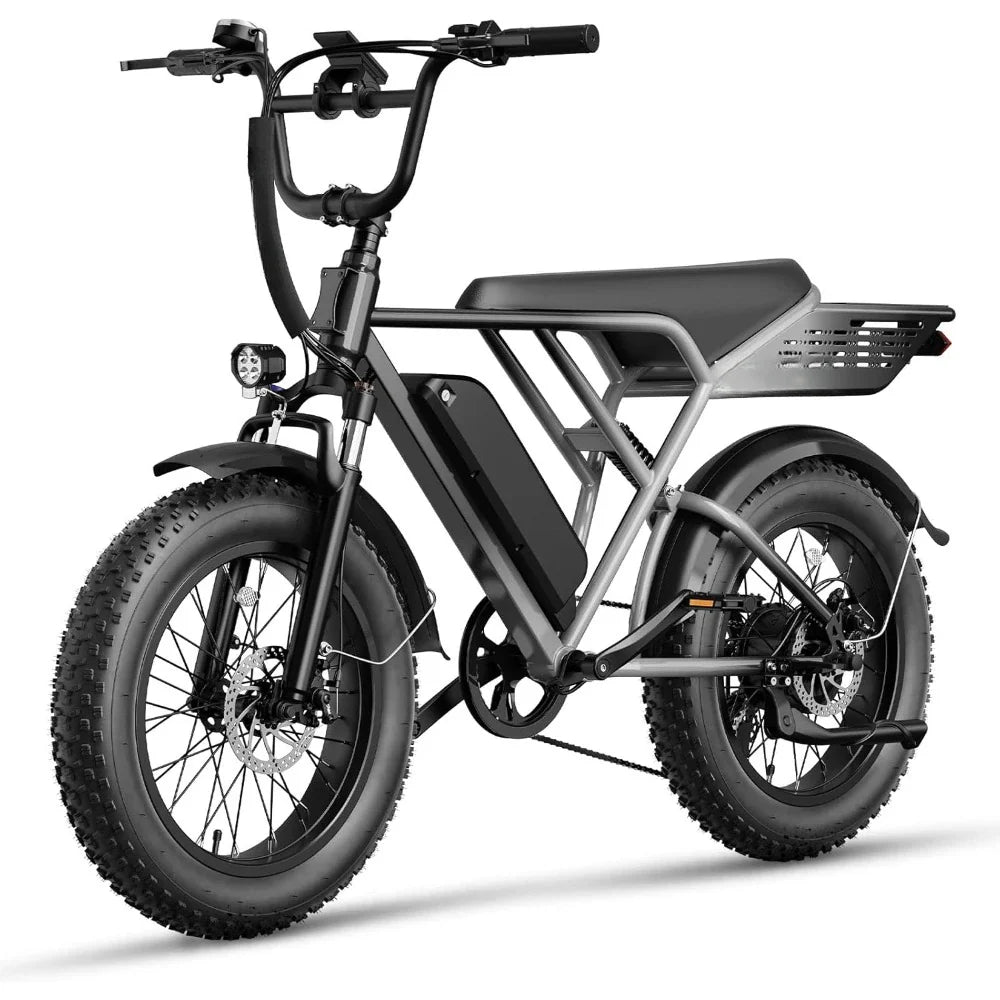E-Bike Boys 20" Fat Tire Full Suspension