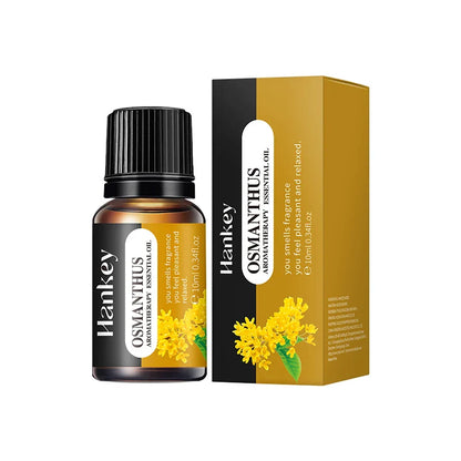 Aromatherapy diffuser Humidifier Aromatherapy essential oil Air purifier