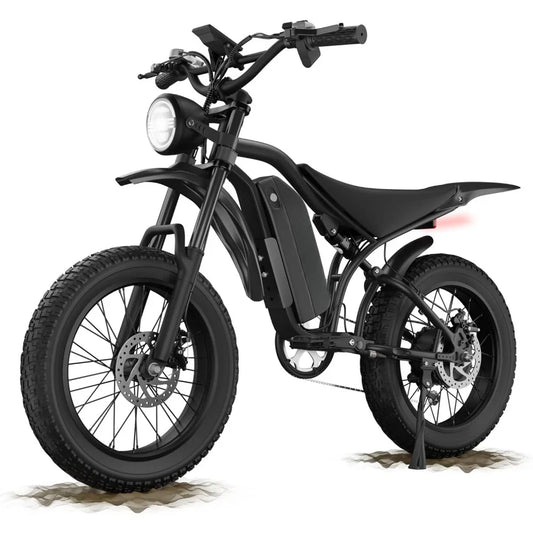 E-Bike Boys Fat Tire Electric Bike