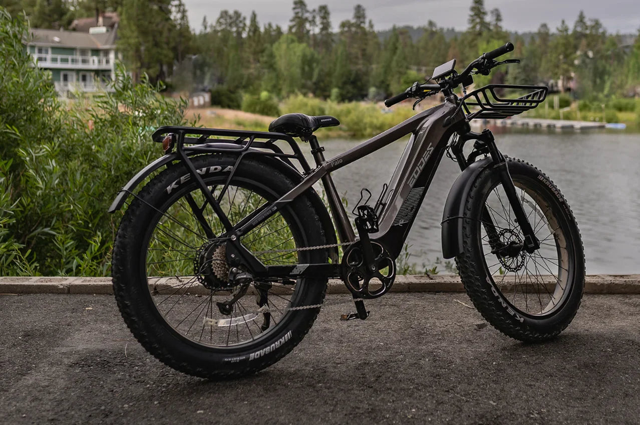 eBike Boys 52V 750W Adult eBike