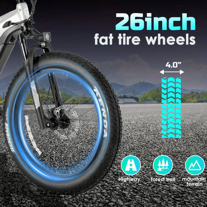 eBike Boys 52V 750W Adult eBike