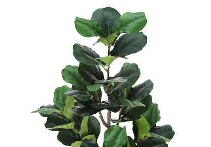 Artificial Plant, Fiddle Tree, Indoor, Faux, Fake, Floor